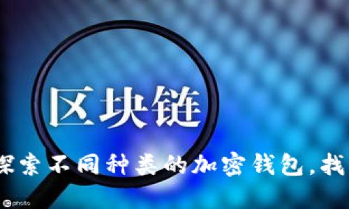 加密钱包的全景：探索不同种类的加密钱包，找到最适合你的选择
