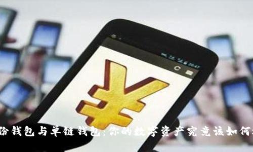 TP身份钱包与单链钱包：你的数字资产究竟该如何选择？