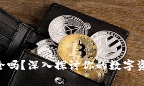 TPWallet安全吗？深入探讨你的数字资产保护之道！