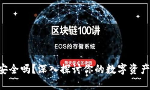 TPWallet安全吗？深入探讨你的数字资产保护之道！