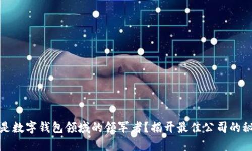 谁是数字钱包领域的领军者？揭开最佳公司的秘密