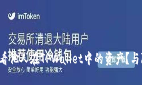 如何轻松查看他人在TPWallet中的资产？与隐私的较量！