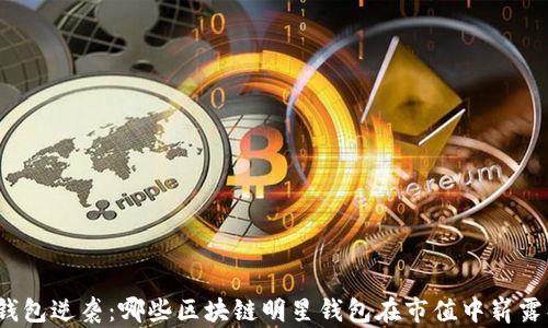 
数字钱包逆袭：哪些区块链明星钱包在市值中崭露头角？