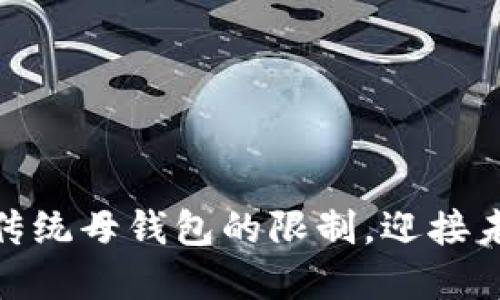 数字钱包：打破传统母钱包的限制，迎接未来金融新时代！