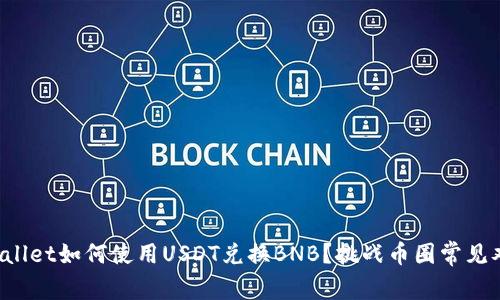 TPWallet如何使用USDT兑换BNB？挑战币圈常见难题！