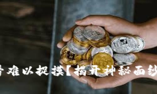 数字钱包编号难以捉摸？揭开神秘面纱的简单攻略!