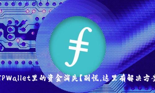 TPWallet里的资金消失？别慌，这里有解决方案
