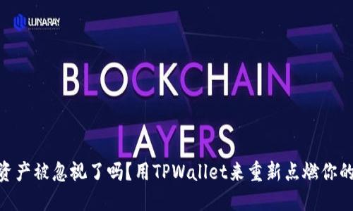 你的SHIB资产被忽视了吗？用TPWallet来重新点燃你的加密热情！