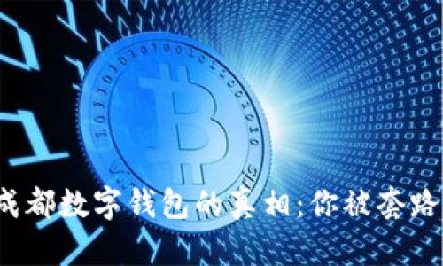 揭开成都数字钱包的真相：你被套路了吗？