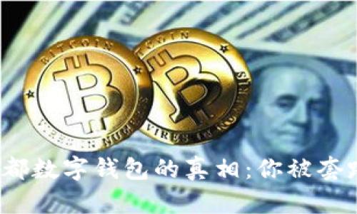 揭开成都数字钱包的真相：你被套路了吗？