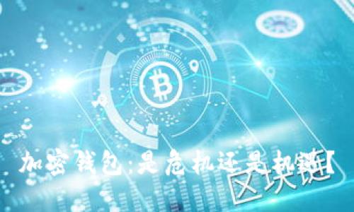 加密钱包：是危机还是机遇？