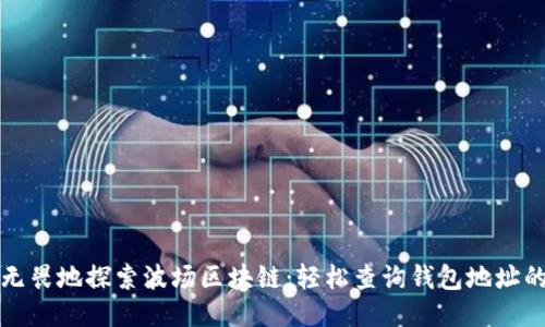 如何无畏地探索波场区块链：轻松查询钱包地址的指南