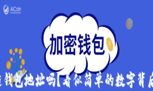 
你真的了解区块链钱包地址吗？看似简单的数字背后隐藏着多少秘密！
