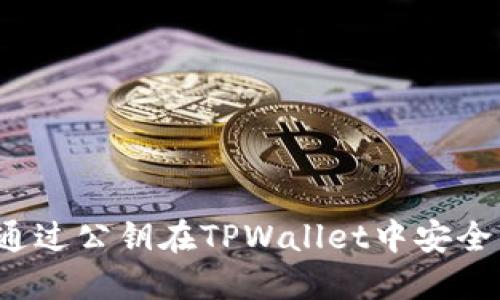 如何通过公钥在TPWallet中安全转币？