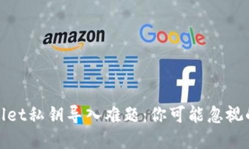 破解TPWallet私钥导入难题：你可能忽视的关键步骤