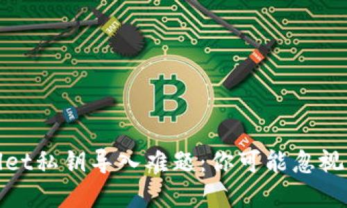 破解TPWallet私钥导入难题：你可能忽视的关键步骤