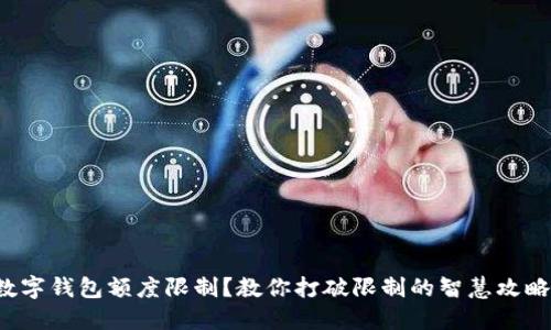 数字钱包额度限制？教你打破限制的智慧攻略！