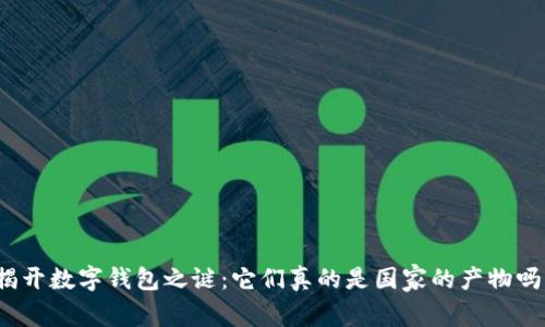 揭开数字钱包之谜：它们真的是国家的产物吗？