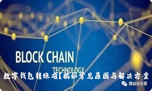 数字钱包转账难？揭秘常见原因与解决方案