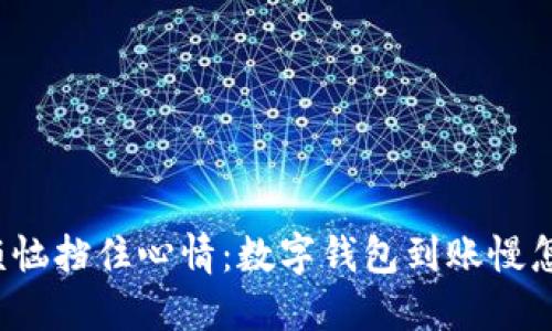 别让烦恼挡住心情：数字钱包到账慢怎么办？