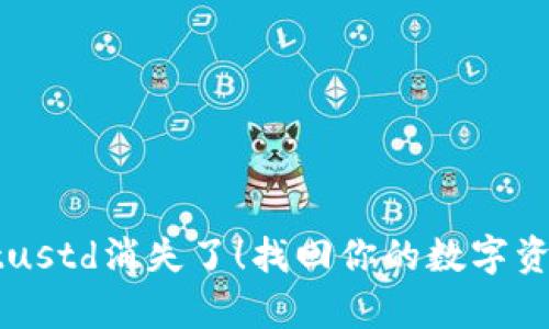 别让tpwalletustd消失了！找回你的数字资产的秘密武器