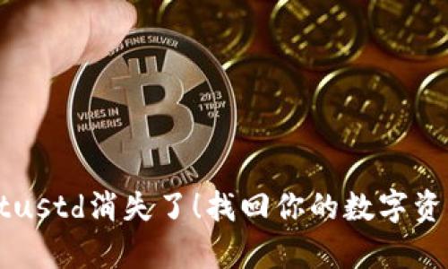 别让tpwalletustd消失了！找回你的数字资产的秘密武器