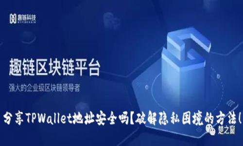 分享TPWallet地址安全吗？破解隐私困境的方法！
