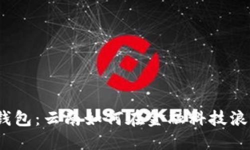 数字货币钱包：云南如何在金融科技浪潮中领航？
