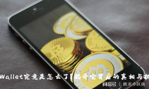 TPWallet究竟是怎么了？揭开它背后的真相与挑战