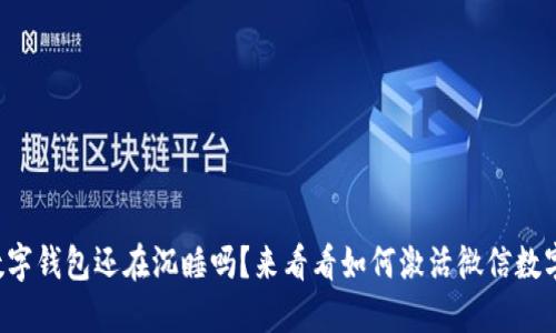 你的数字钱包还在沉睡吗？来看看如何激活微信数字钱包！