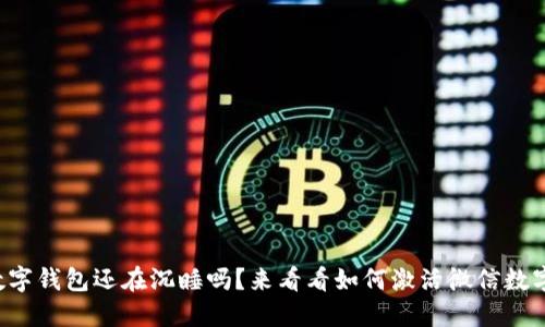 你的数字钱包还在沉睡吗？来看看如何激活微信数字钱包！