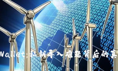 TPWallet：私钥导入难题背后的真相！