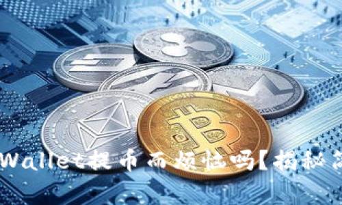你还在为如何从TPWallet提币而烦恼吗？揭秘简单步骤，轻松解决！