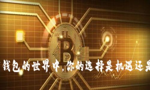在数字钱包的世界中，你的选择是机遇还是风险？