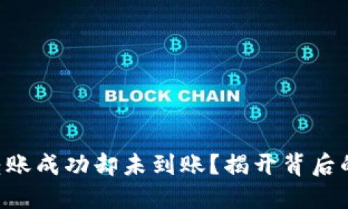 TPWallet转账成功却未到账？揭开背后的神秘面纱！