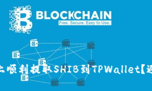 如何在OKEx上顺利提取SHIB到TPWallet？避免常见陷阱！