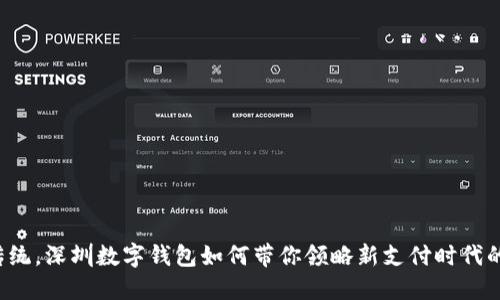 “颠覆传统，深圳数字钱包如何带你领略新支付时代的风暴?”