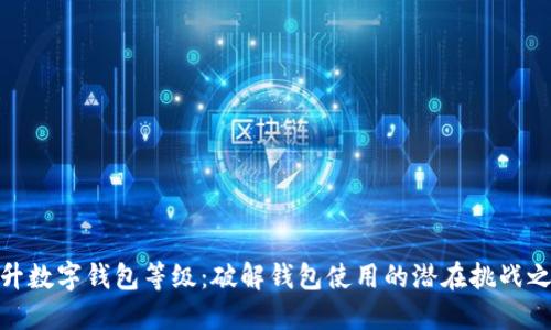 提升数字钱包等级：破解钱包使用的潜在挑战之道