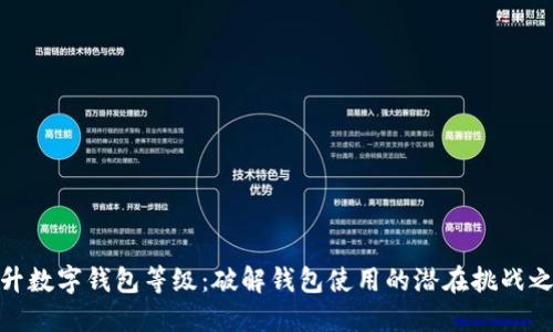 提升数字钱包等级：破解钱包使用的潜在挑战之道