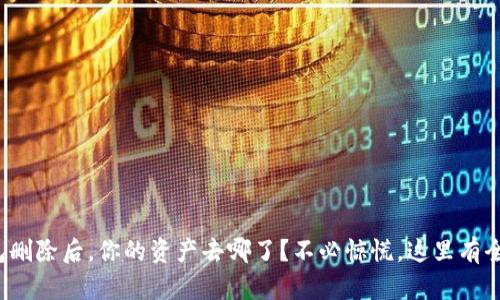 数字钱包删除后，你的资产去哪了？不必惊慌，这里有全部解答！