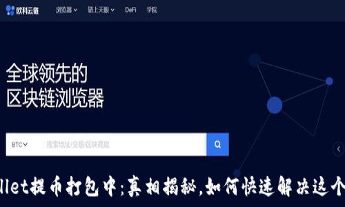   
TPWallet提币打包中：真相揭秘，如何快速解决这个烦恼？