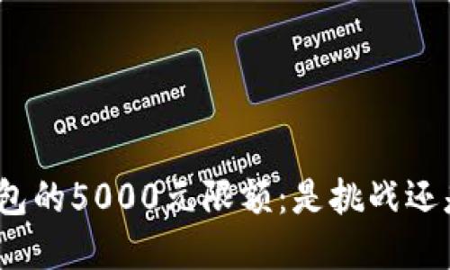 数字钱包的5000元限额：是挑战还是机遇？
