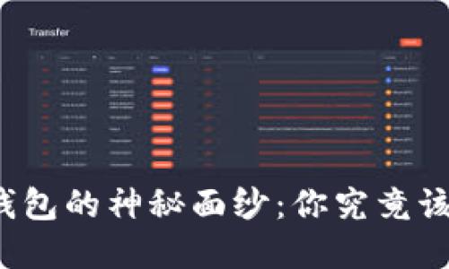 揭开区块链钱包的神秘面纱：你究竟该选择哪一类？