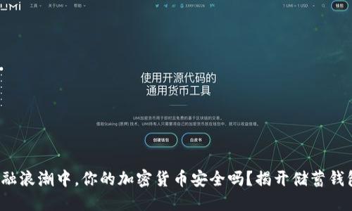 在数字金融浪潮中，你的加密货币安全吗？揭开储蓄钱包的秘密！