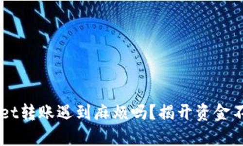 你在TP Wallet转账遇到麻烦吗？揭开资金不到账的真相！