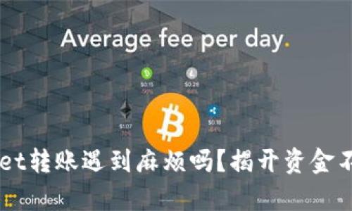 你在TP Wallet转账遇到麻烦吗？揭开资金不到账的真相！