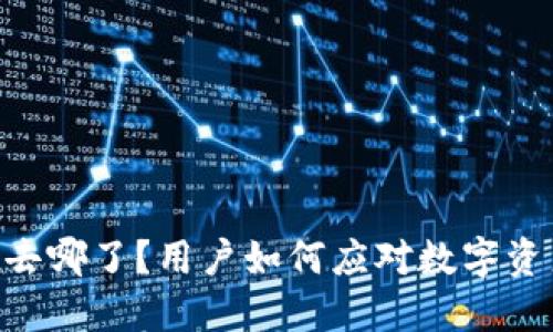 TPWallet的U去哪了？用户如何应对数字资产的消失挑战
