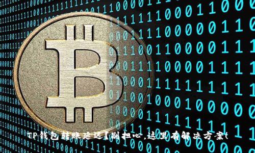 TP钱包转账延迟？别担心，这里有解决方案！