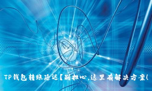 TP钱包转账延迟？别担心，这里有解决方案！