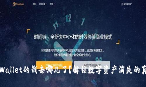 TPWallet的钱去哪儿了？解锁数字资产消失的真相